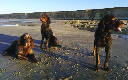 Végas, Gina et Janis